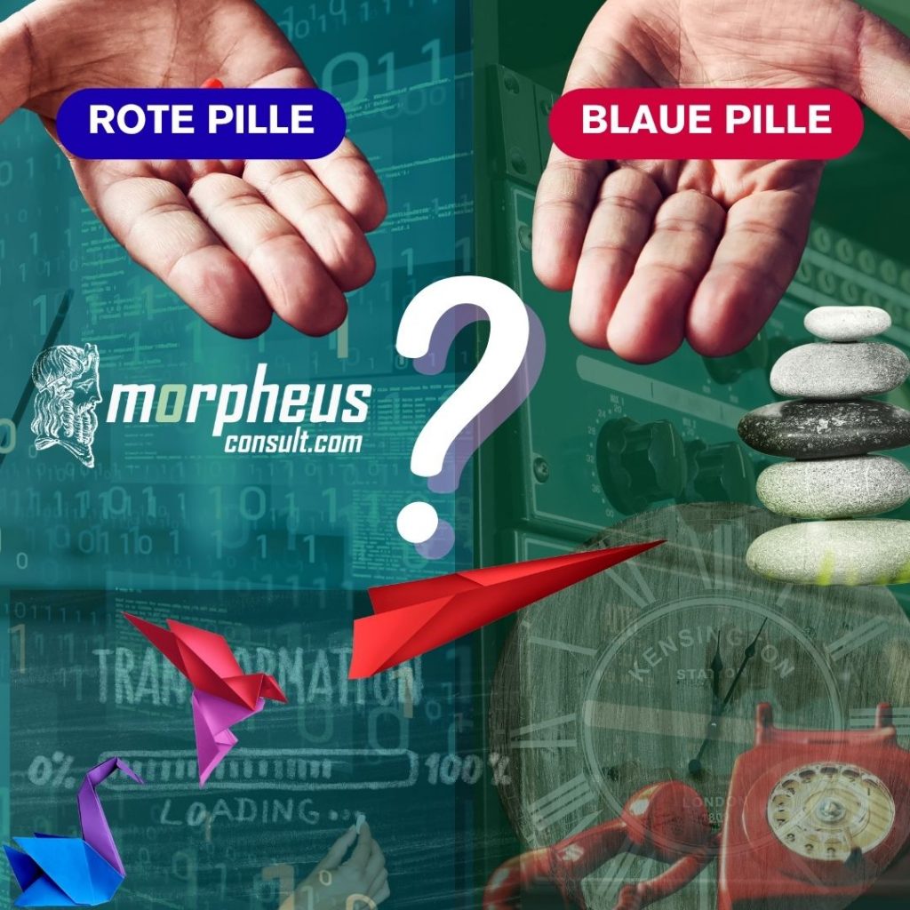 rote oder blaue Pille für dein Unternehmen - morpheusconsult
