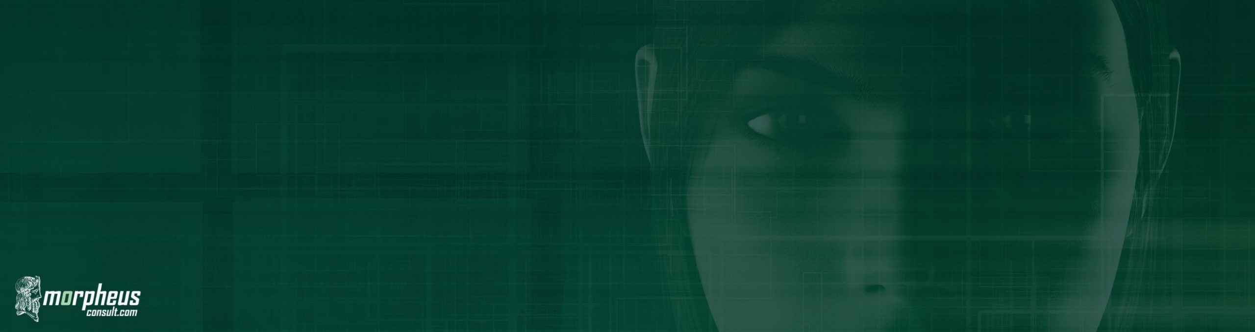 CRM FAQs - morpheusconsult