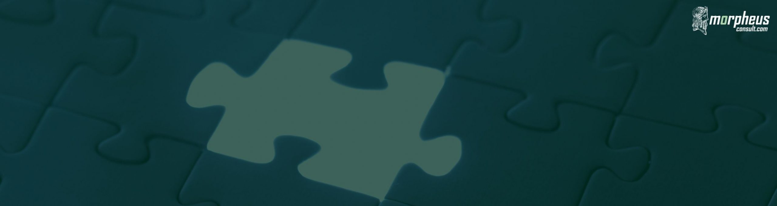 CRM Integration Services für Unternehmen | CRM Integration & Consulting 58