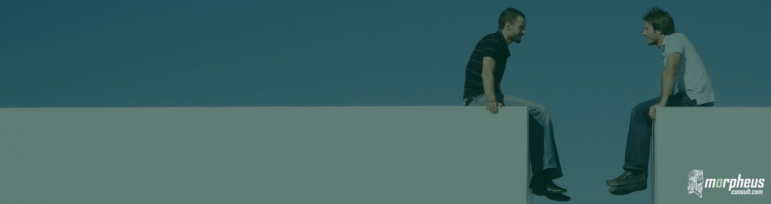 Contact | CRM hub | morpheusconsult Contact - morpheusconsult